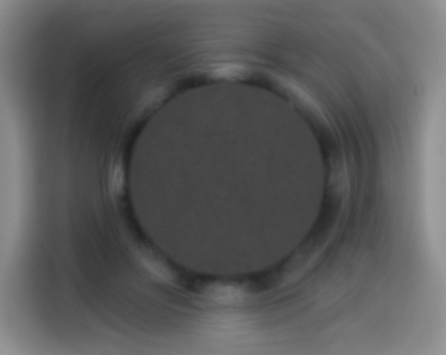 X0000113940502200910021305