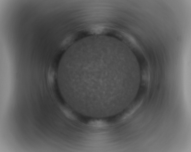 X0000113940503200910021305