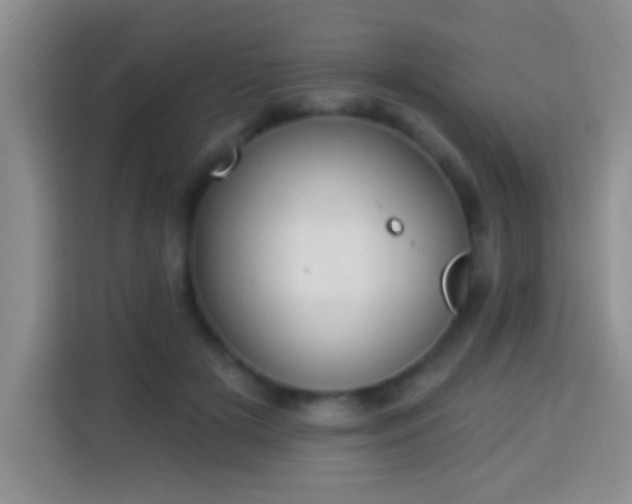 X0000113940505200910021305