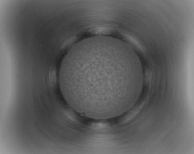 X0000113940506200910021305