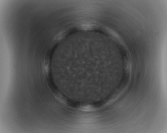 X0000113940507200910021305