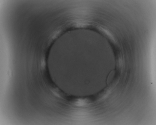 X0000113940508200910021305