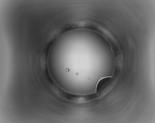 X0000113940509200910021305