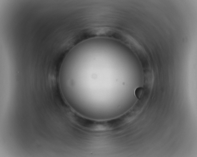 X0000113940510200910021305