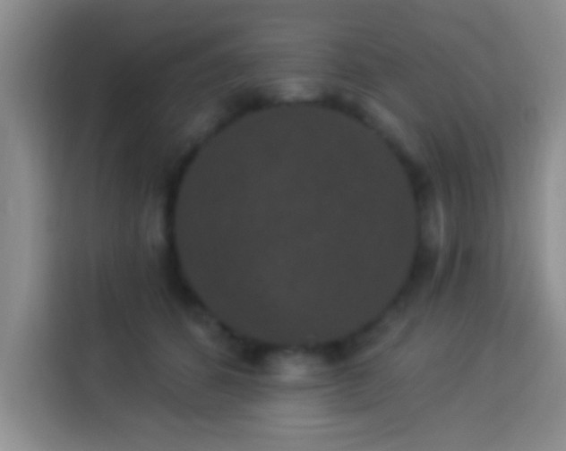 X0000113940512200910021305