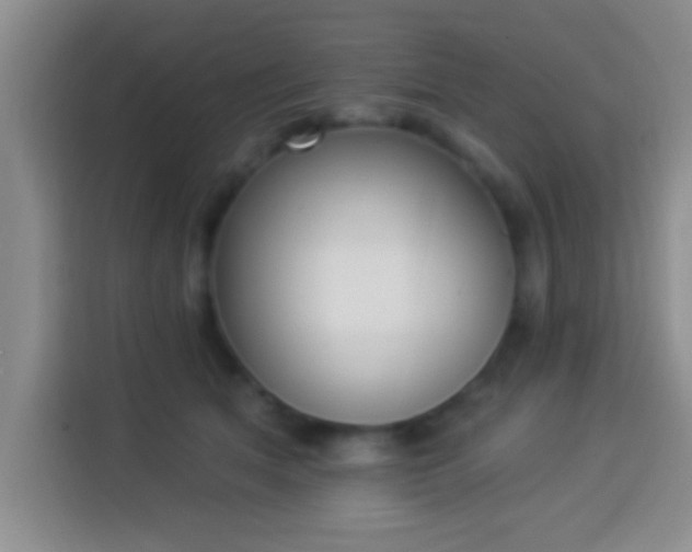 X0000113940513200910021305