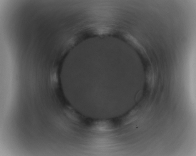 X0000113940516200910021305