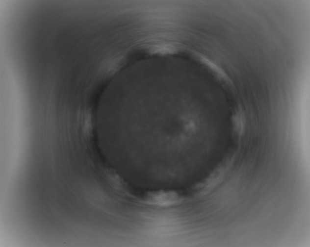 X0000113940517200910021305