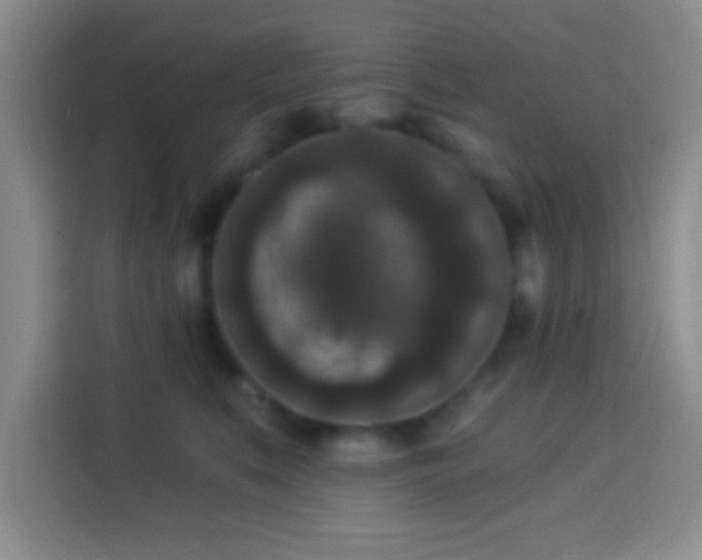 X0000113940519200910021305