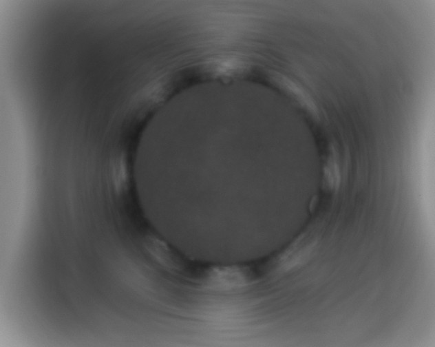 X0000113940520200910021305