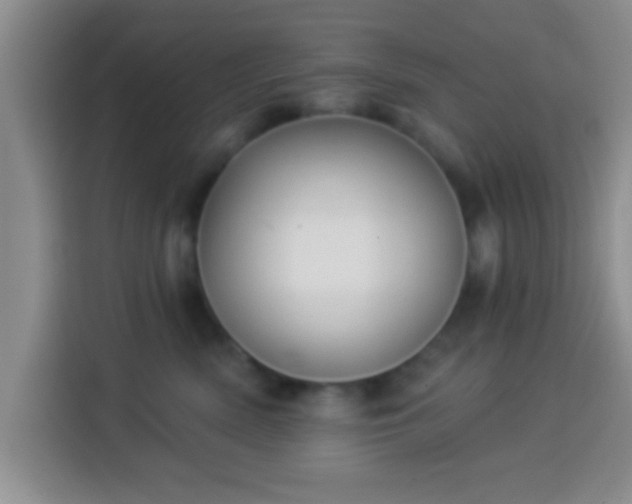 X0000113940522200910021305