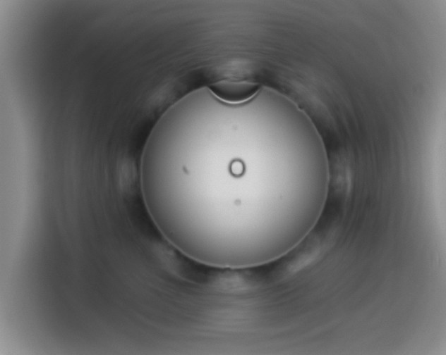 X0000113940523200910021305