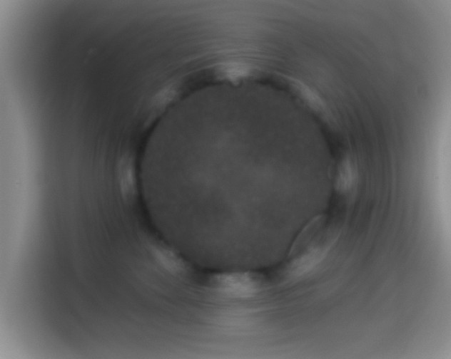 X0000113940524200910021305