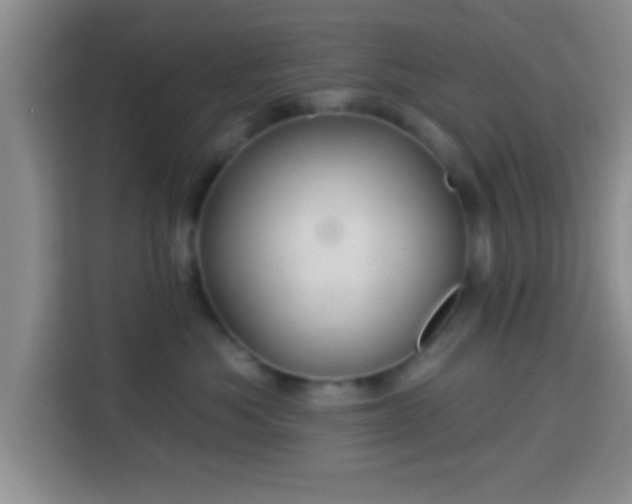 X0000113940525200910021305