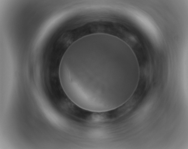 X0000113940526200910021305