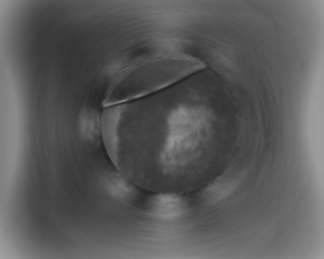 X0000113940528200910021305