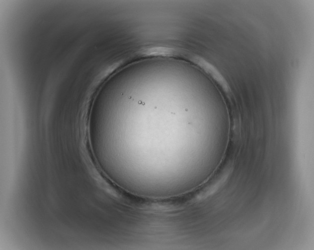 X0000113940529200910021304