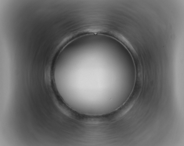 X0000113940530200910021304