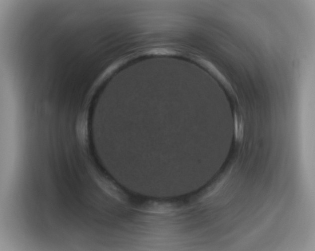 X0000113940531200910021304