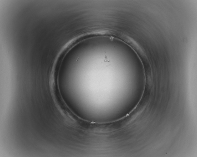 X0000113940532200910021304