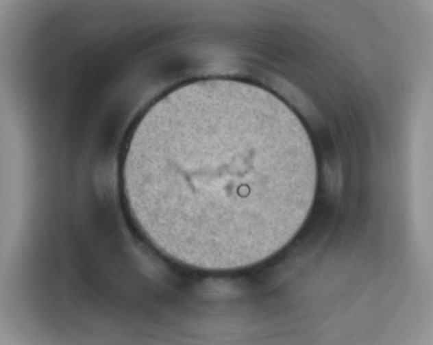 X0000113940534200910021304