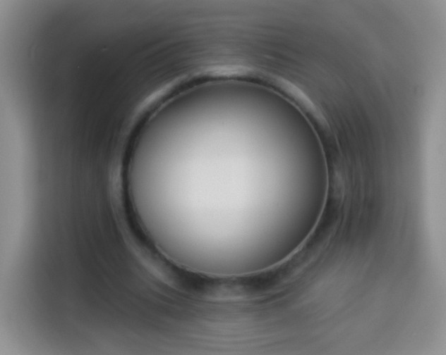 X0000113940535200910021304