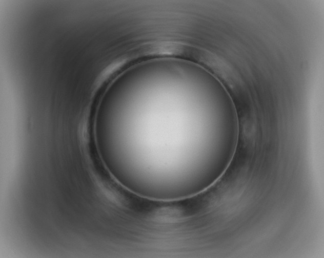 X0000113940536200910021304