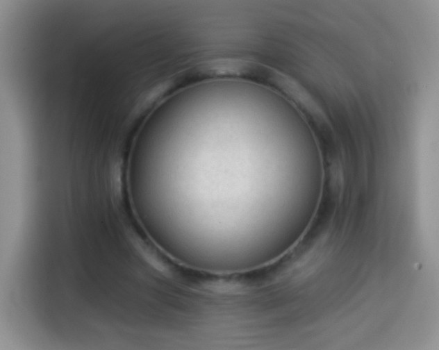 X0000113940537200910021304