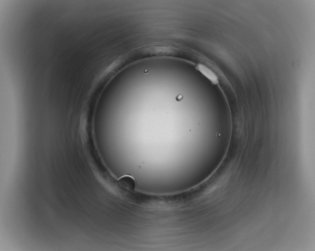 X0000113940538200910021304