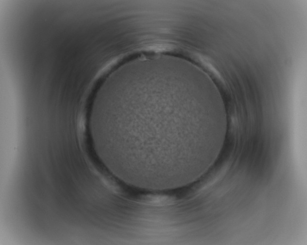 X0000113940539200910021304