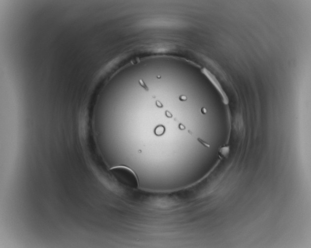 X0000113940540200910021304