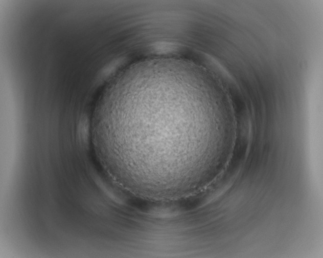 X0000113940542200910021304