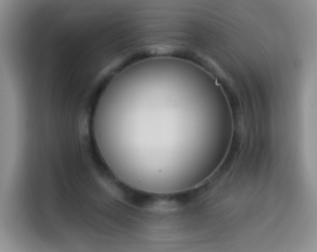 X0000113940543200910021304