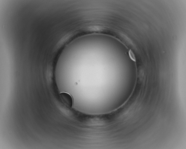 X0000113940544200910021304