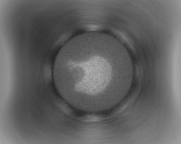 X0000113940545200910021304