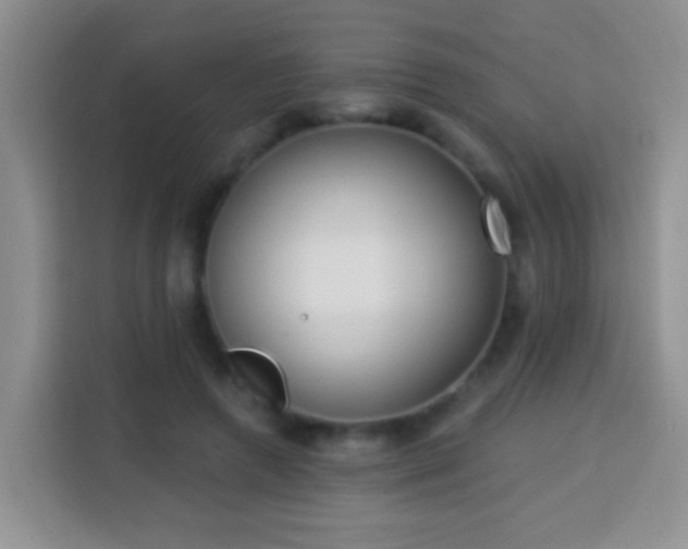 X0000113940546200910021304