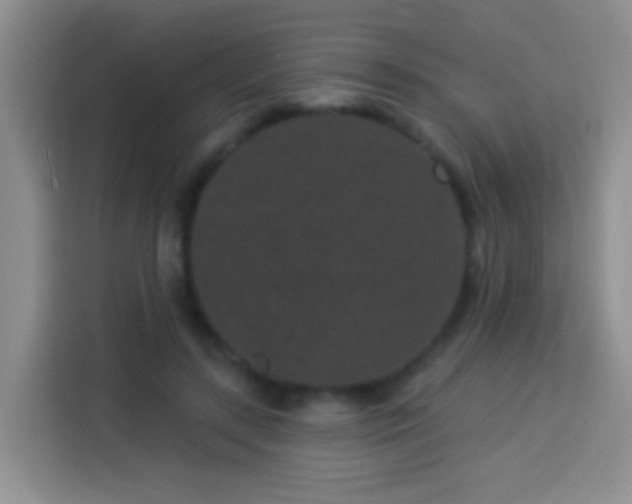 X0000113940547200910021304