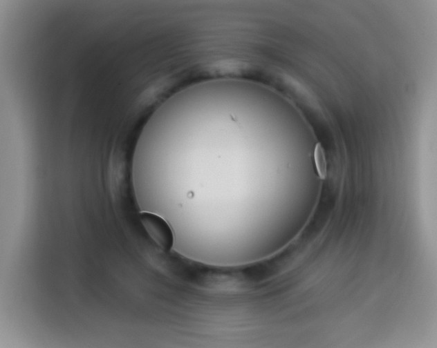 X0000113940548200910021304