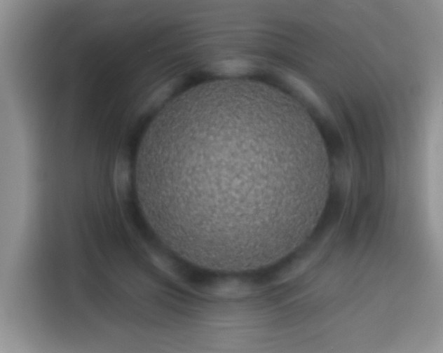 X0000113940549200910021304