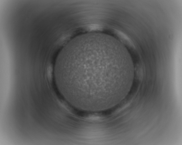 X0000113940550200910021304