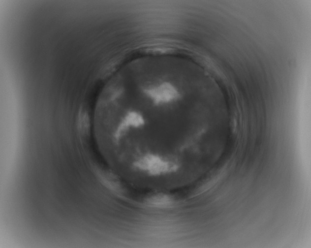 X0000113940551200910021304