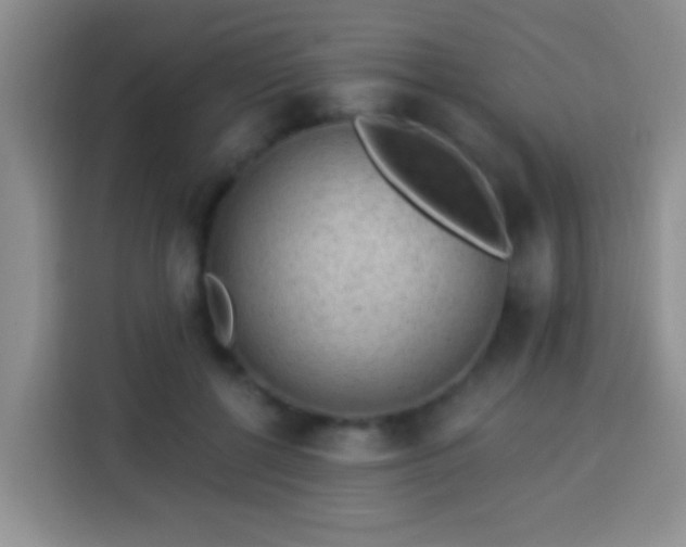 X0000113940552200910021304