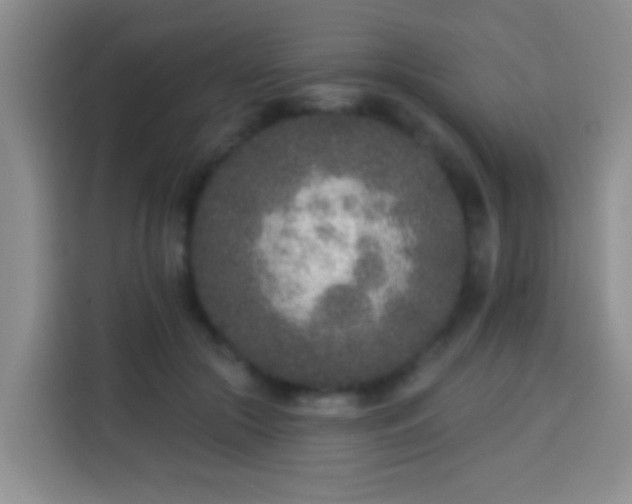 X0000113940553200910021304