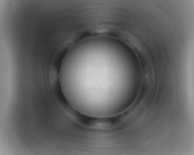 X0000113940555200910021304