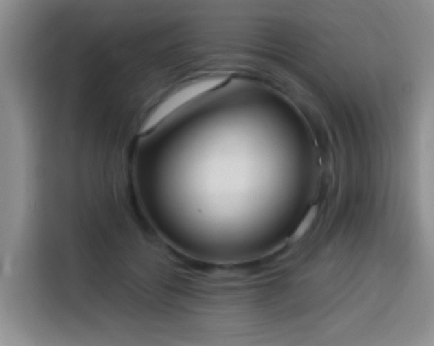 X0000113940556200910021304