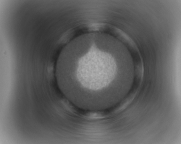 X0000113940557200910021304