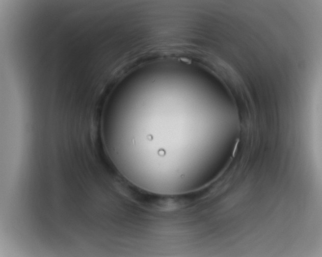 X0000113940558200910021304