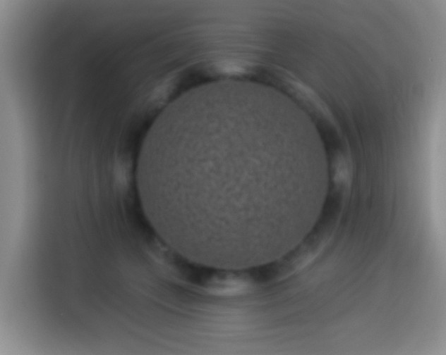 X0000113940559200910021304