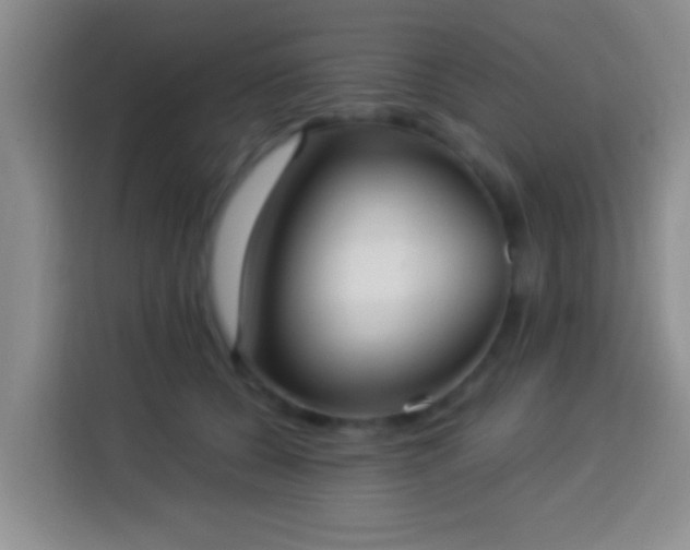 X0000113940560200910021304