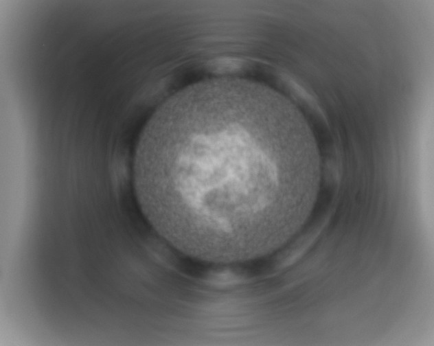 X0000113940561200910021305